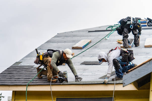 Professional Roofing technician working in Vanderbilt, TX
